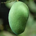 Manfaat Buah Mangga