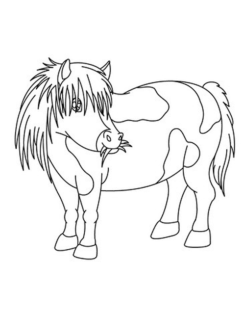 Gambar Mewarnai Kuda Poni Untuk Anak Paud Dan Tk