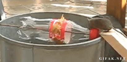 [Image: Will+it+won%27t+it.gif]