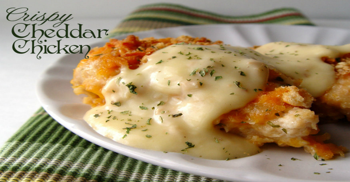 Crispy Cheddar Chicken Baked Recipe