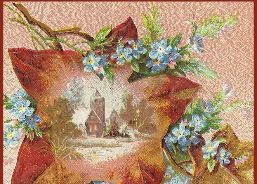 Little Birdie Blessings : Fall Images for You