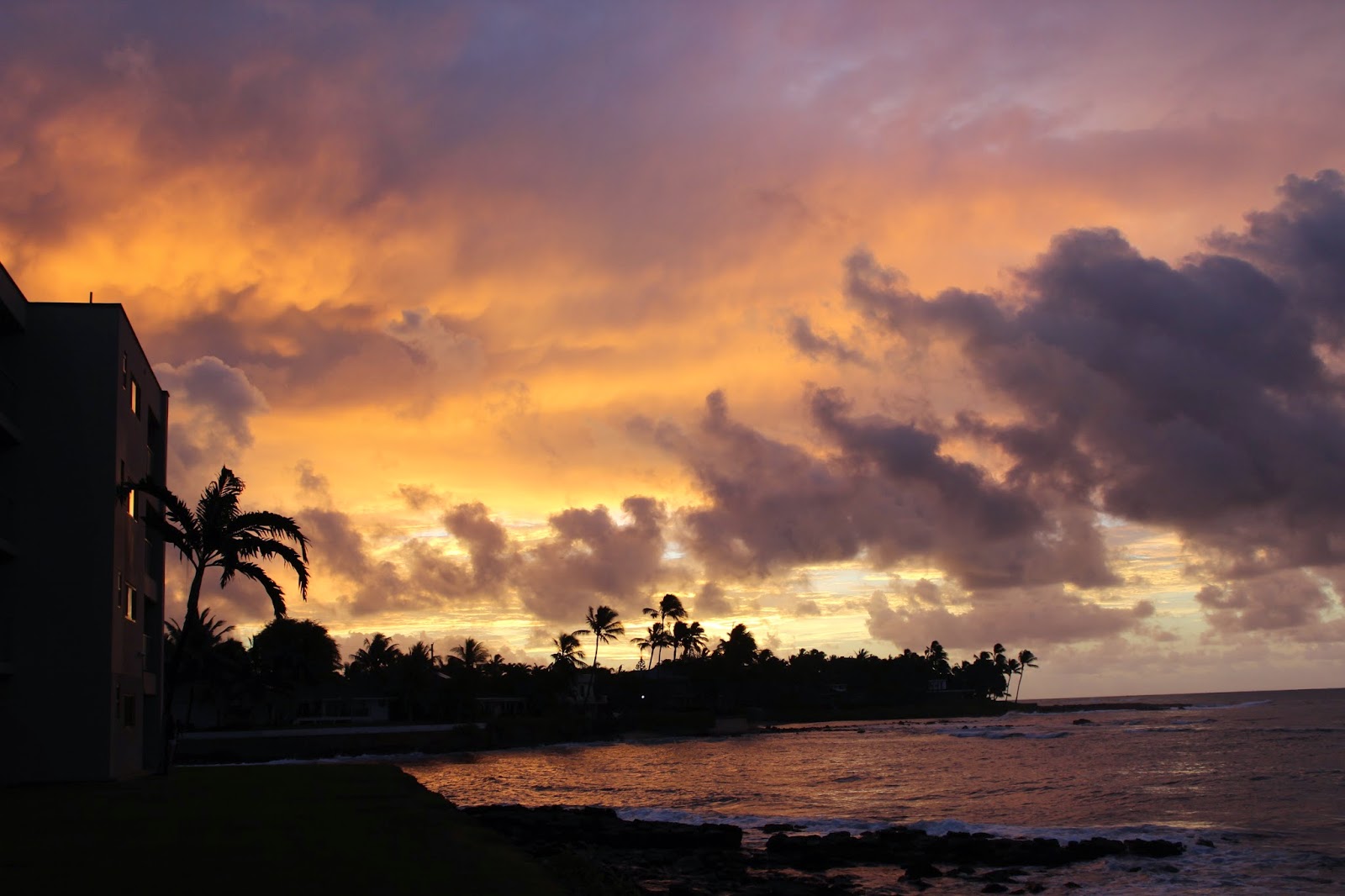 Kuhio Shores Sunrise
