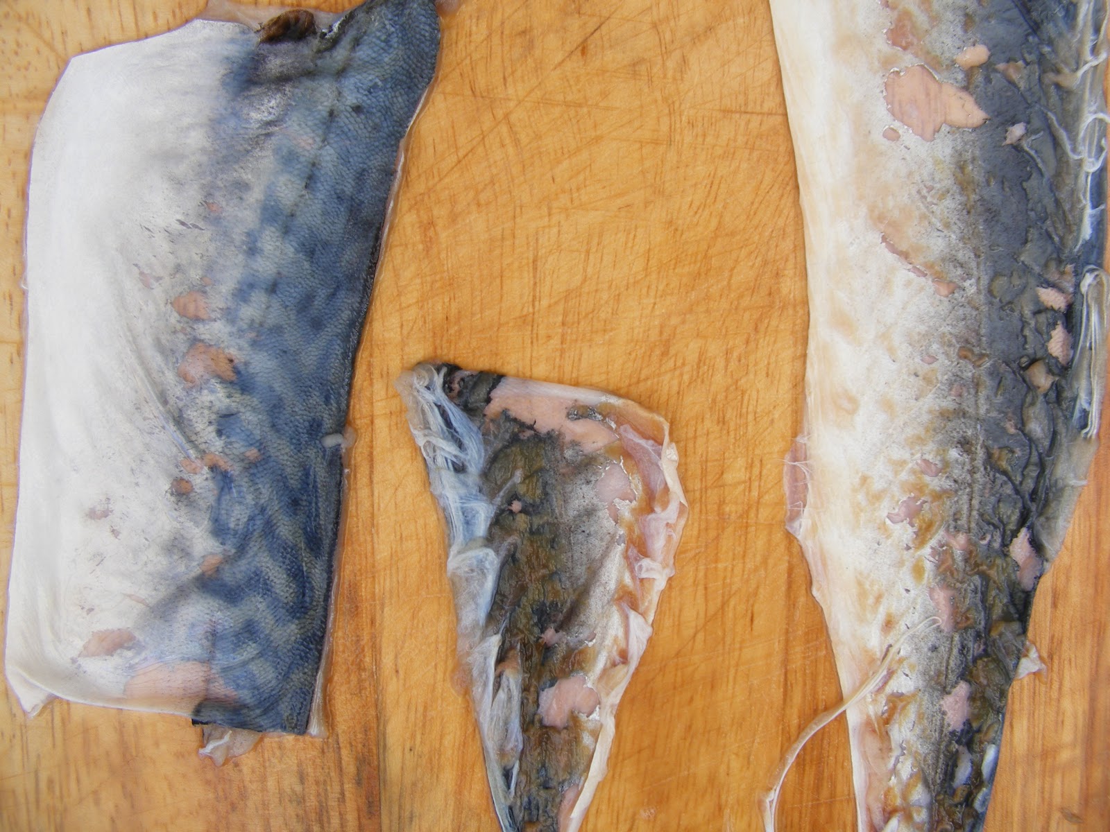 WithWater DIY Fish Leather