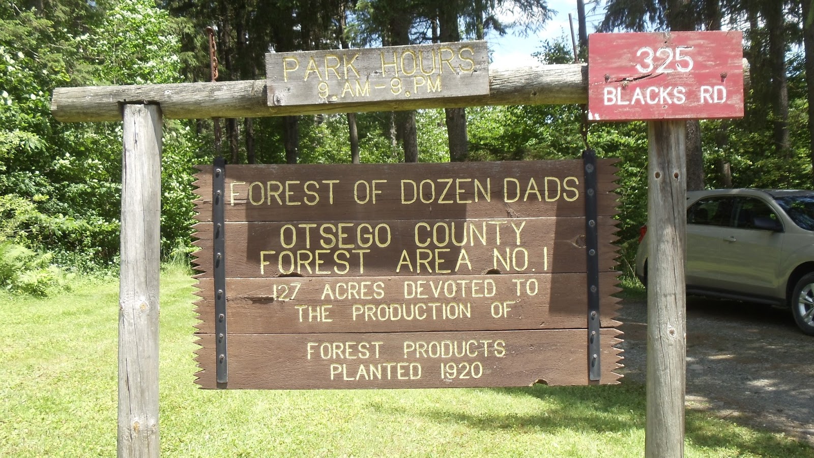 My Adventures June 2013