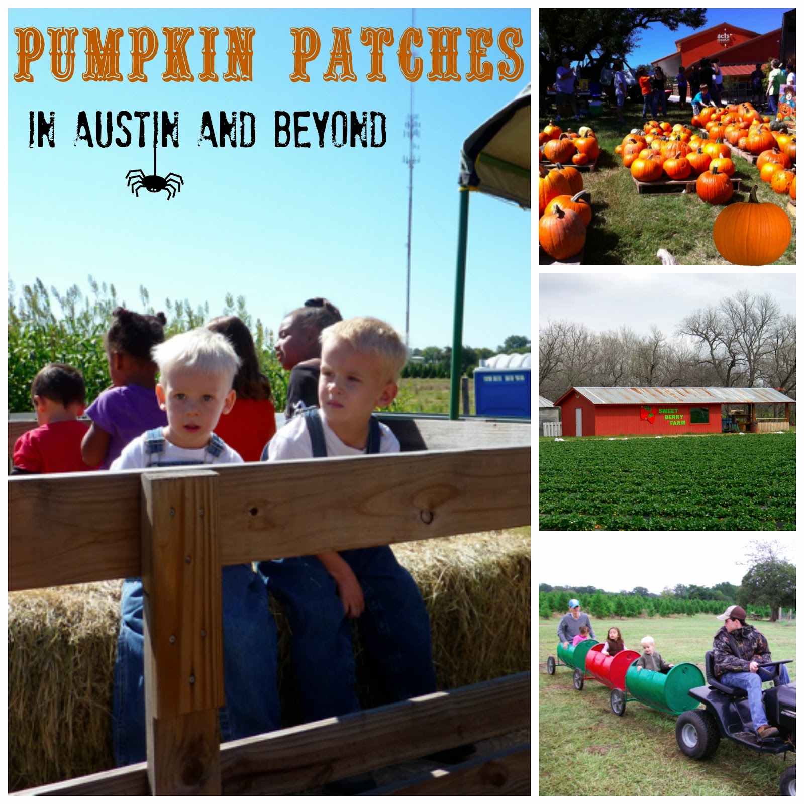 Pumpkin Patch Near Weatherford Texas
