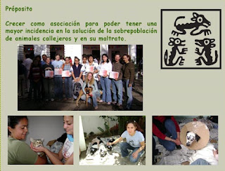 Tzite Award Ceremony Chiapas Mexico