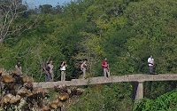Puente - foto: Osvaldo Freyre