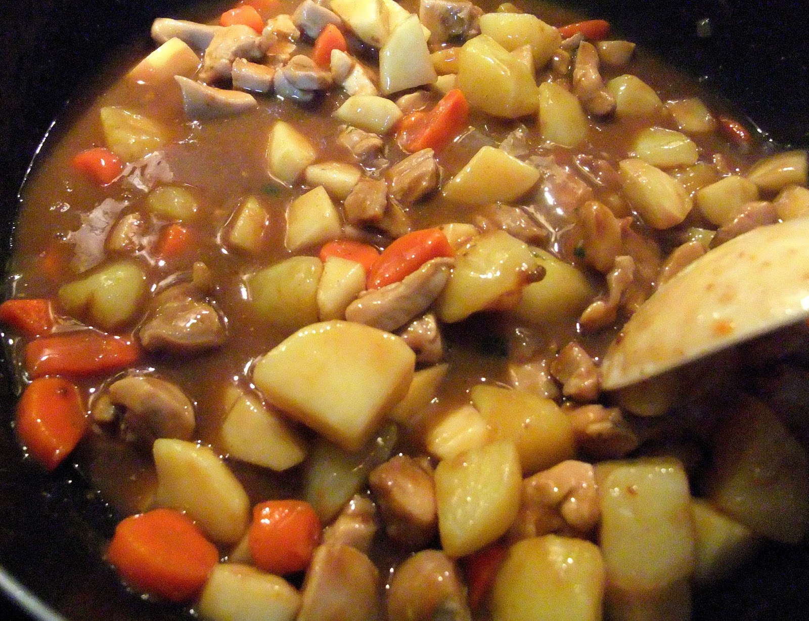 Susan's SavourIt! Halfway Homemade... Japanese Curry in A Hurry...