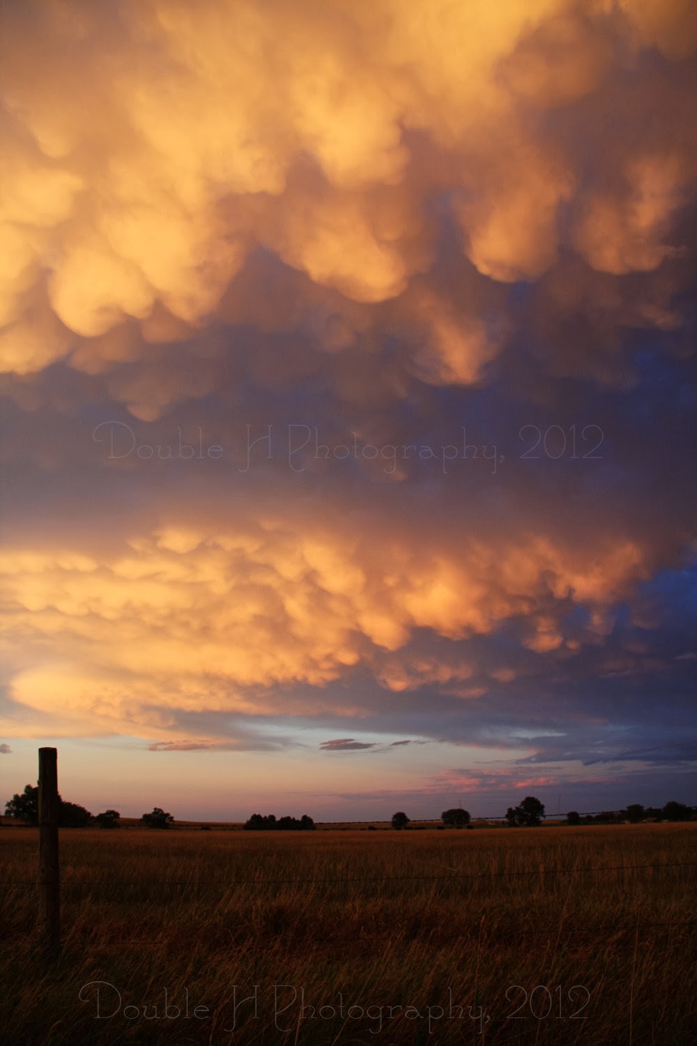 Summer Storm