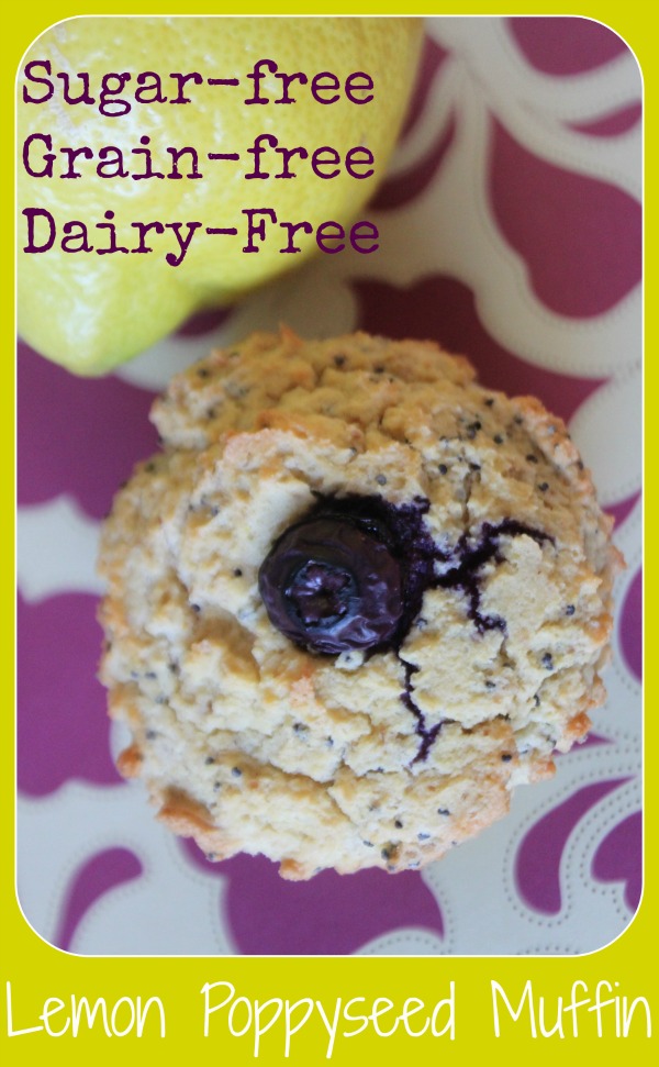 MamaEatsClean Sugar Free Grain Free and Dairy Free Lemony Poppyseed