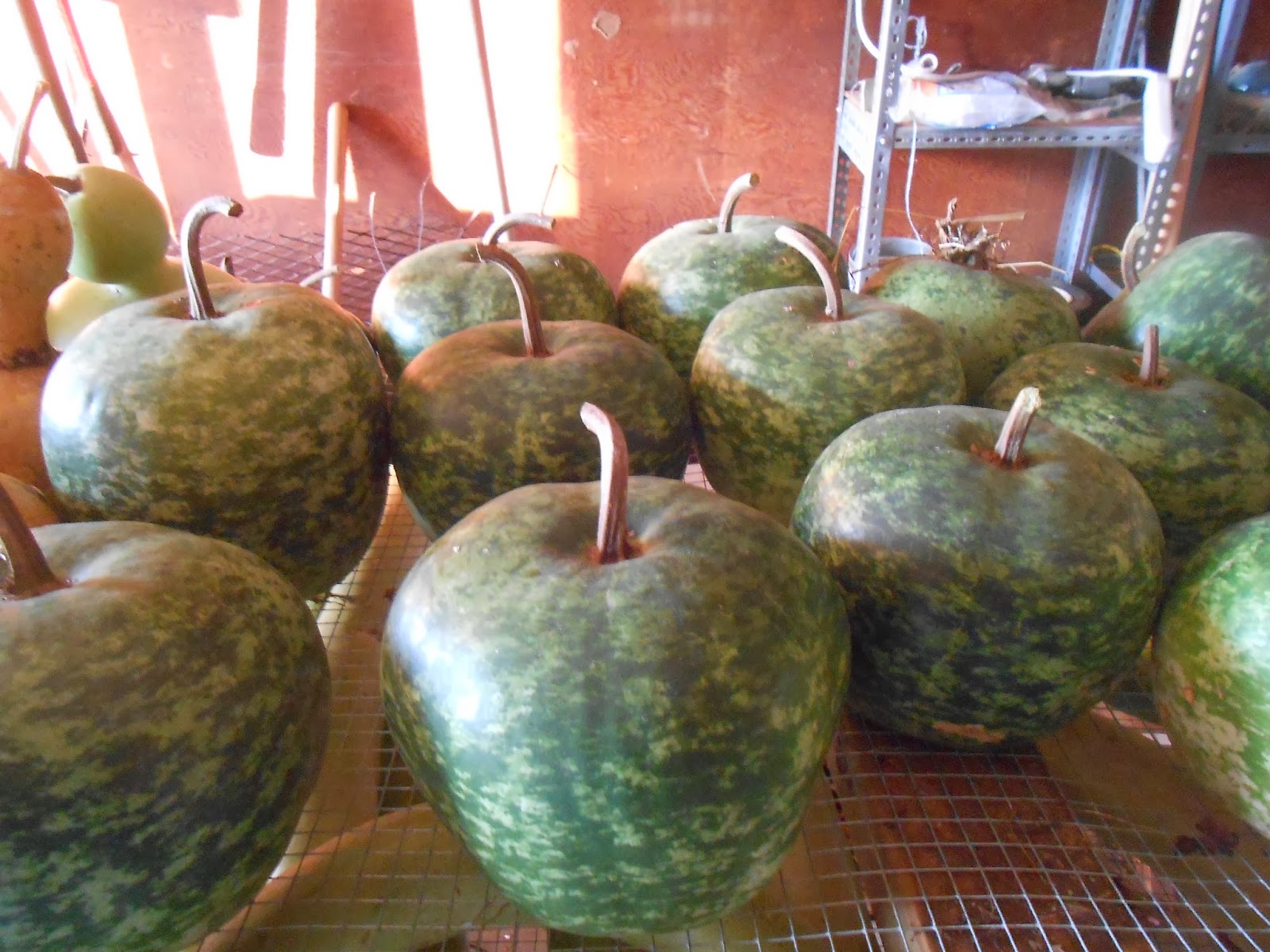 Windy Acres Diary Apple Gourds, Etc.