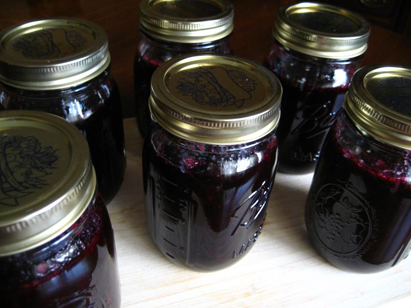 We Be Jammin' Making and Canning Your Own Blueberry Jam