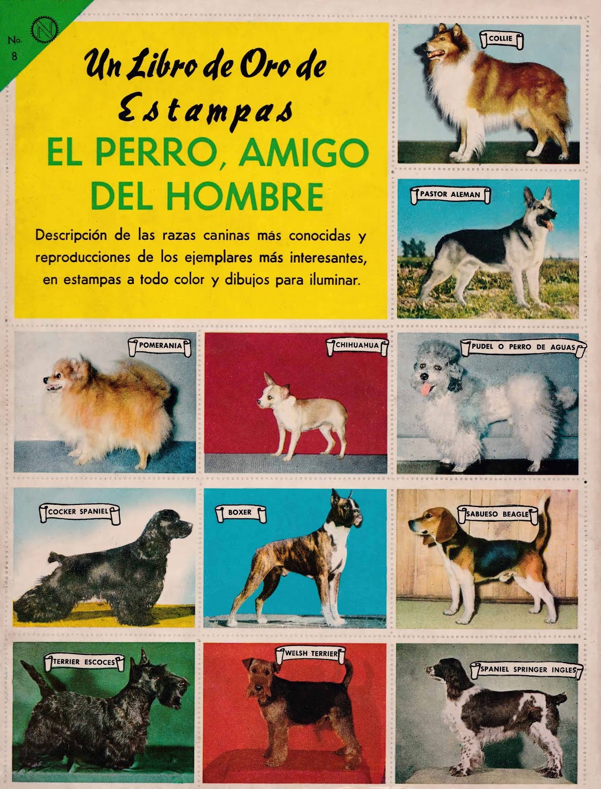 LIBRO DE ORO DE ESTAMPAS DE PERROS