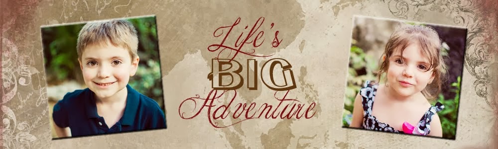 Life's Little Adventures