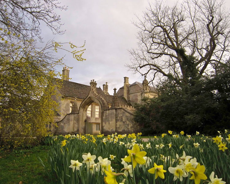 Harry Potter magic at Lacock Most beautiful places in the world
