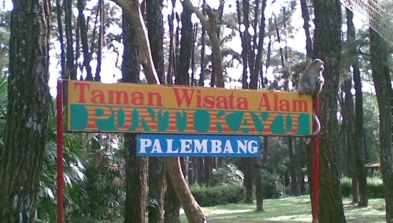 Objek Wisata Punti Kayu Palembang