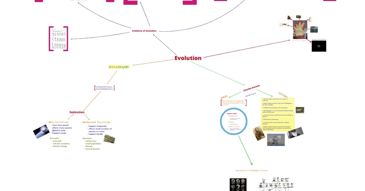 How Does Evolution Relate To Natural Selection How Does Evolution Relate To Natural Selection