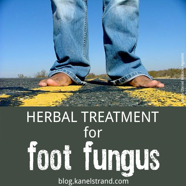 Kanelstrand Herbal Treatment for Foot Fungus (Athlete's foot)