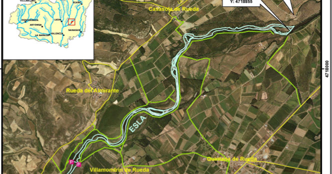 El pescador Pensante UN DIA MAS EN QUINTANA DE RUEDA