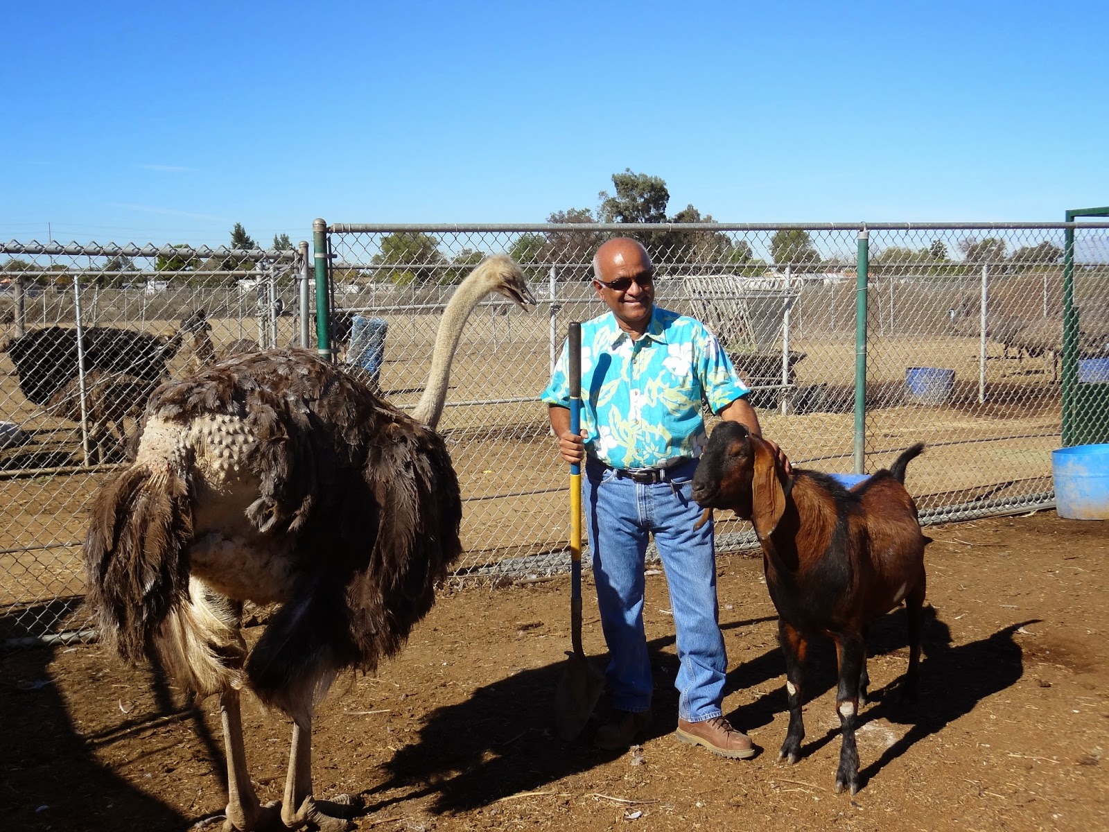 Exotic Meats...A Walk on the Wild Side