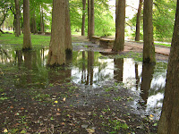 rain landscape picture trees park  stock-photo
