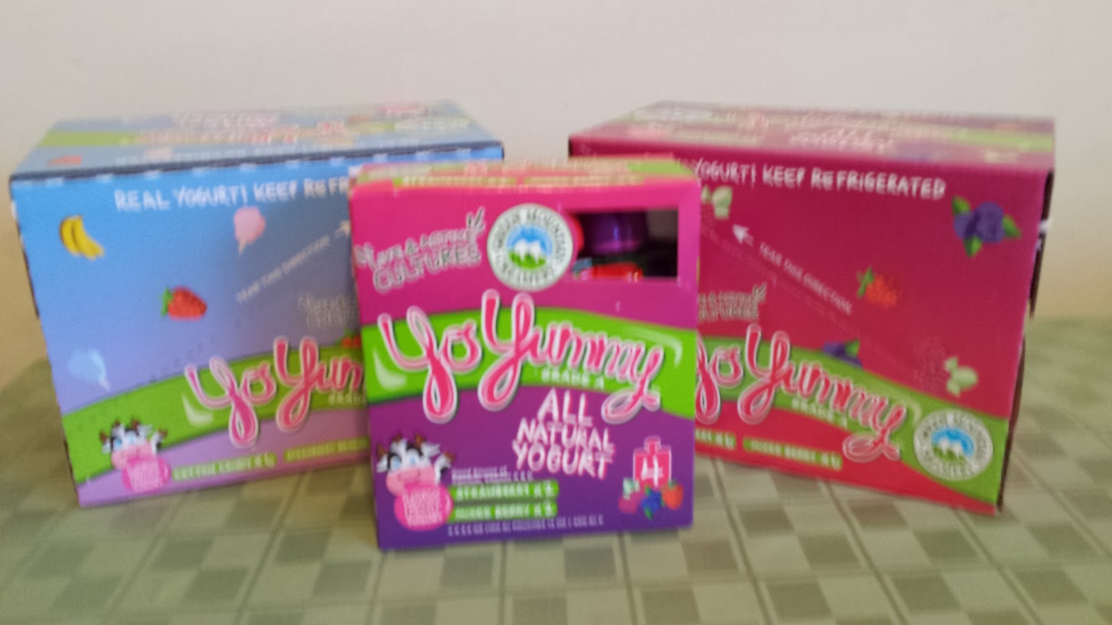 YoYummy Yogurt Review