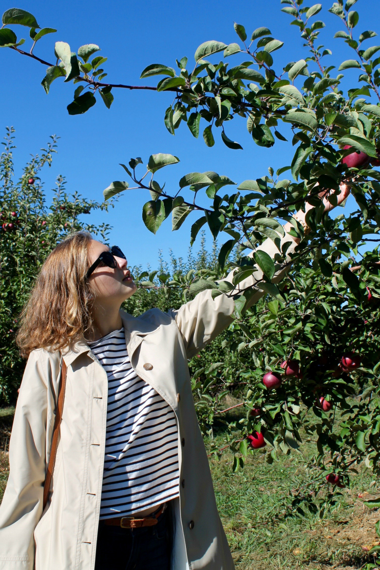 Apple picking outfit- trench coat, Breton and JORD wooden watch