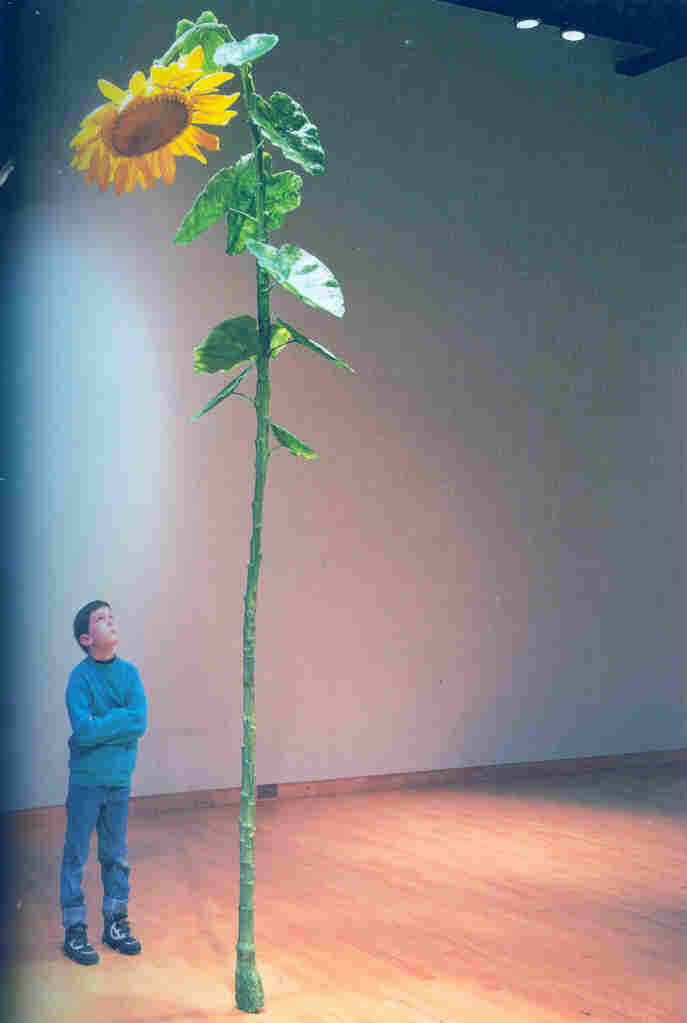 salon espace rencontre annecy vieux