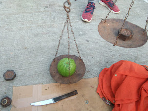 Have you seen a guava weighing 1/2 Kilo ?