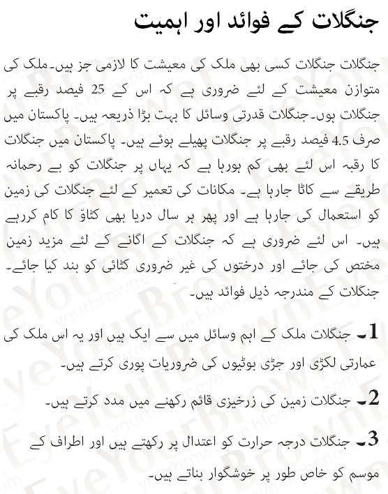 essay on trade and commerce essay on trade and commerce