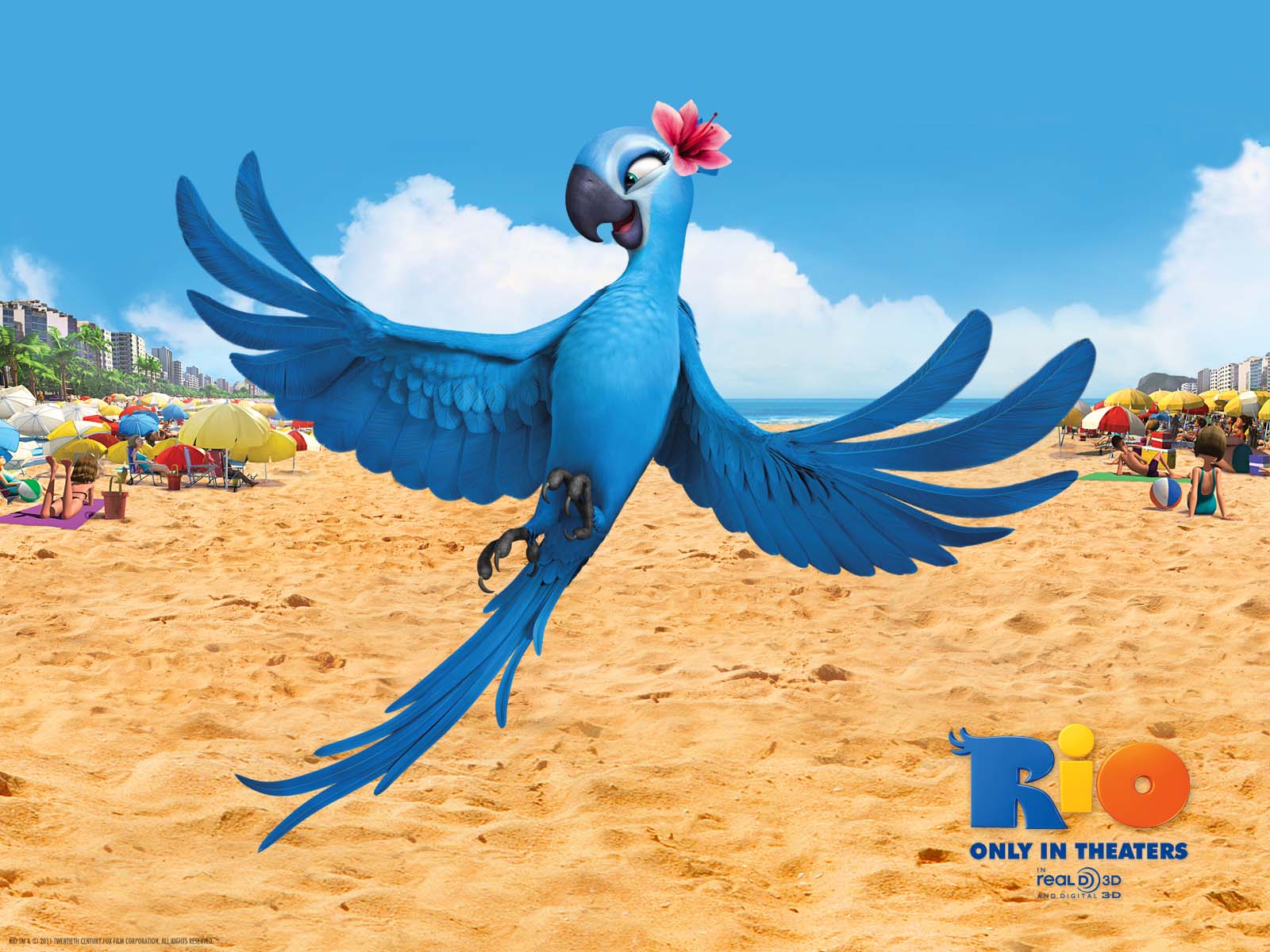 Rio La Pelicula