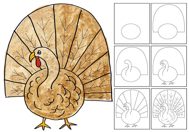 Animal Drawing: Turkey