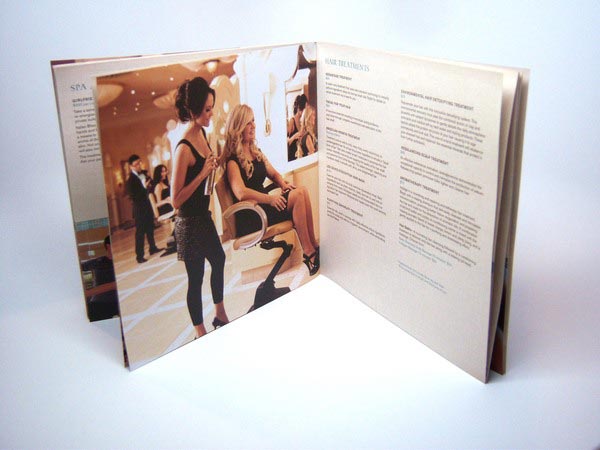 Salon Brochure Design