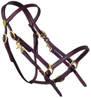A Halter