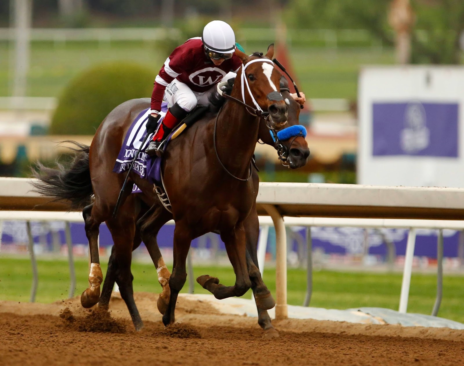2014 Breeders Cup Charts