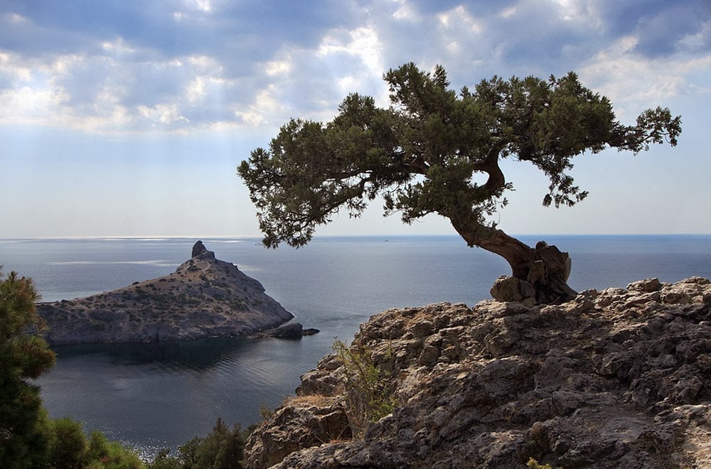 крым.русское море скачать торрент