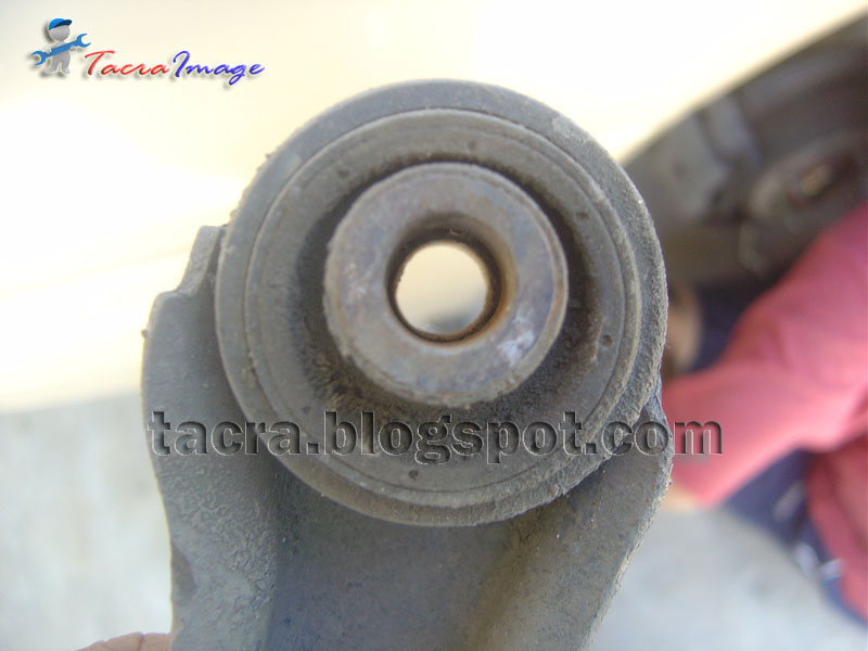 Tulang Anjing Lower Arm Pi Sana Pi Sini