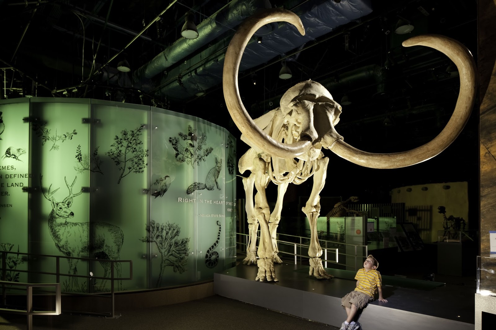 Nevada Magazine Six MustSee Sites Named State Treasures in Discover