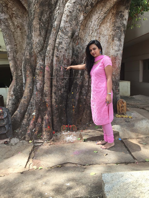 what is a salwar khameez, pink salwar khameez, indian salwar khameez, salwar khameez online 
