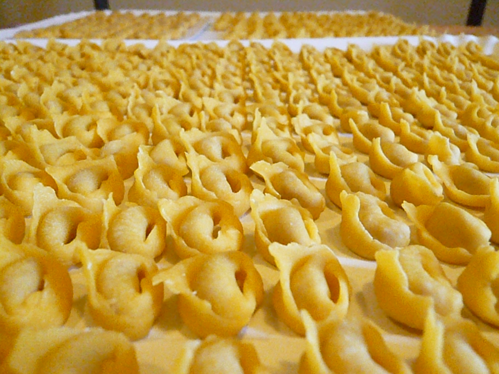 Tortellini VS Cappelletti. Sfida all'Ok Corral tra Bologna e la Romagna