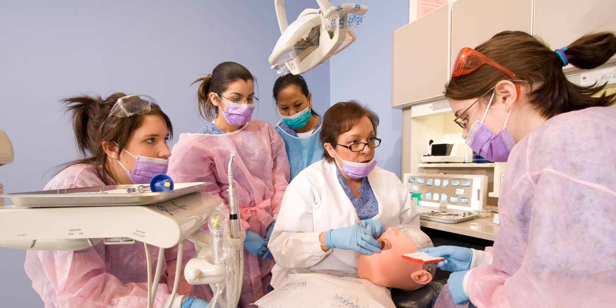 Dental Assistant Dental Assisting Requirements Assistant