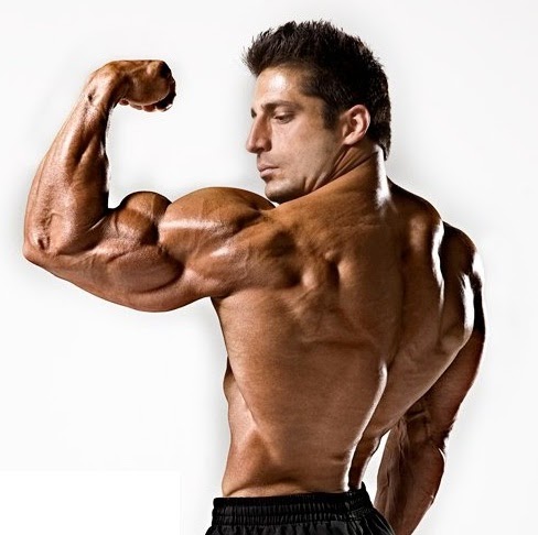 anabolic steroids