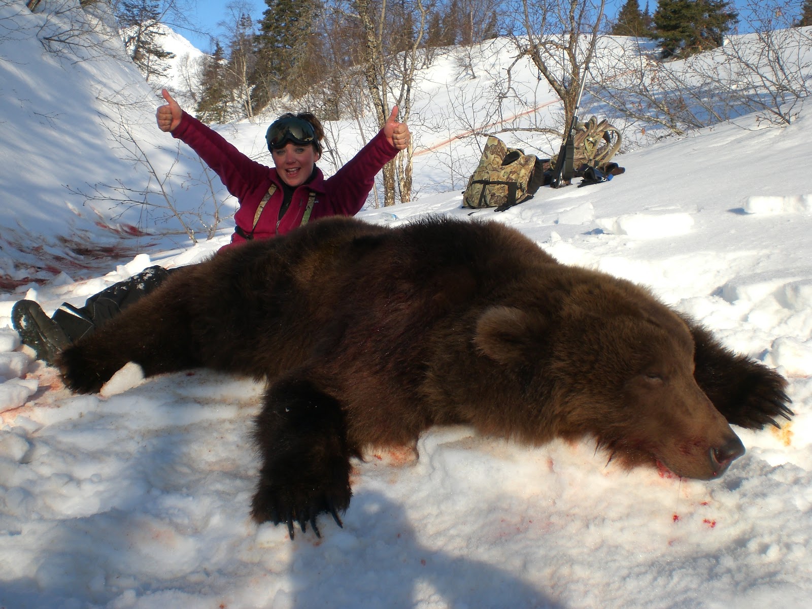 Blog Alaska Brown Bear hunting trophies