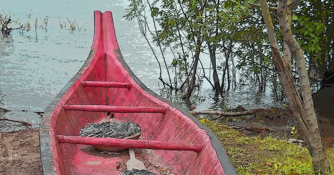 Thom Zehrfeld Photography Dugout Canoes At Capt. William Clark Park