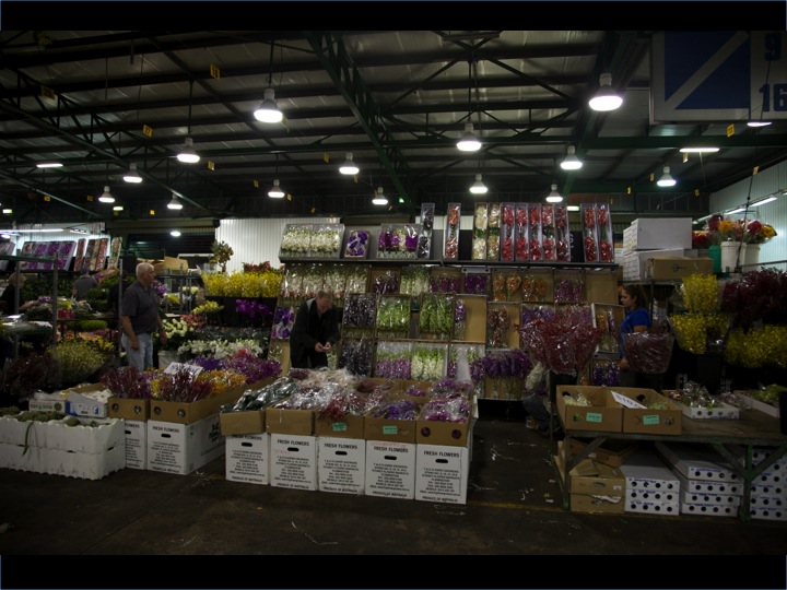 blooming lovely the sydney flower market
