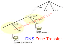 DNS Zone Transfer