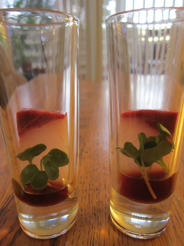 Hamachi Shots Jaymie