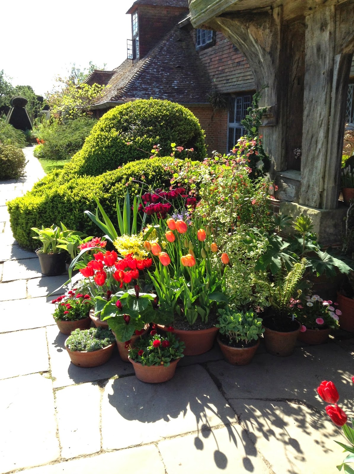 Vibrant tulips display in front of Great Dixter House porch - Photo by Noemi Mercurelli Vibrant tulips display in front of Great Dixter House porch - Photo by Noemi Mercurelli