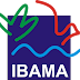 IBAMA abre concurso na área de TI com remuneração de 8,3 mil reais