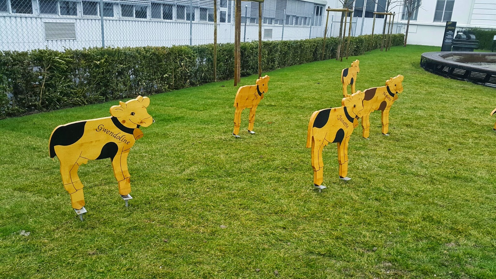 ANALI KIZLI İSVİÇRE Ev Bezgini